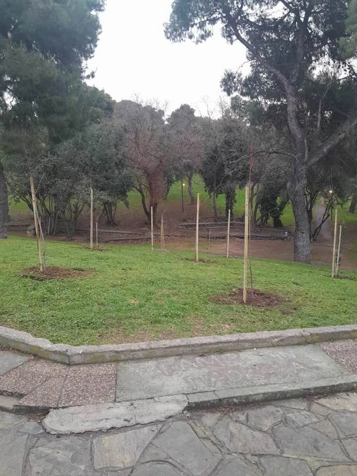 diamantakis-eyath2.jpg?v=0