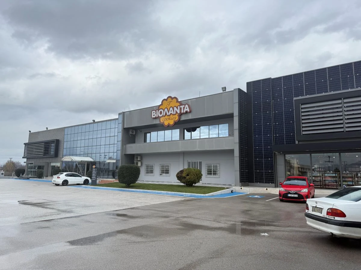 ergostasio-violanta-1.jpg?v=0