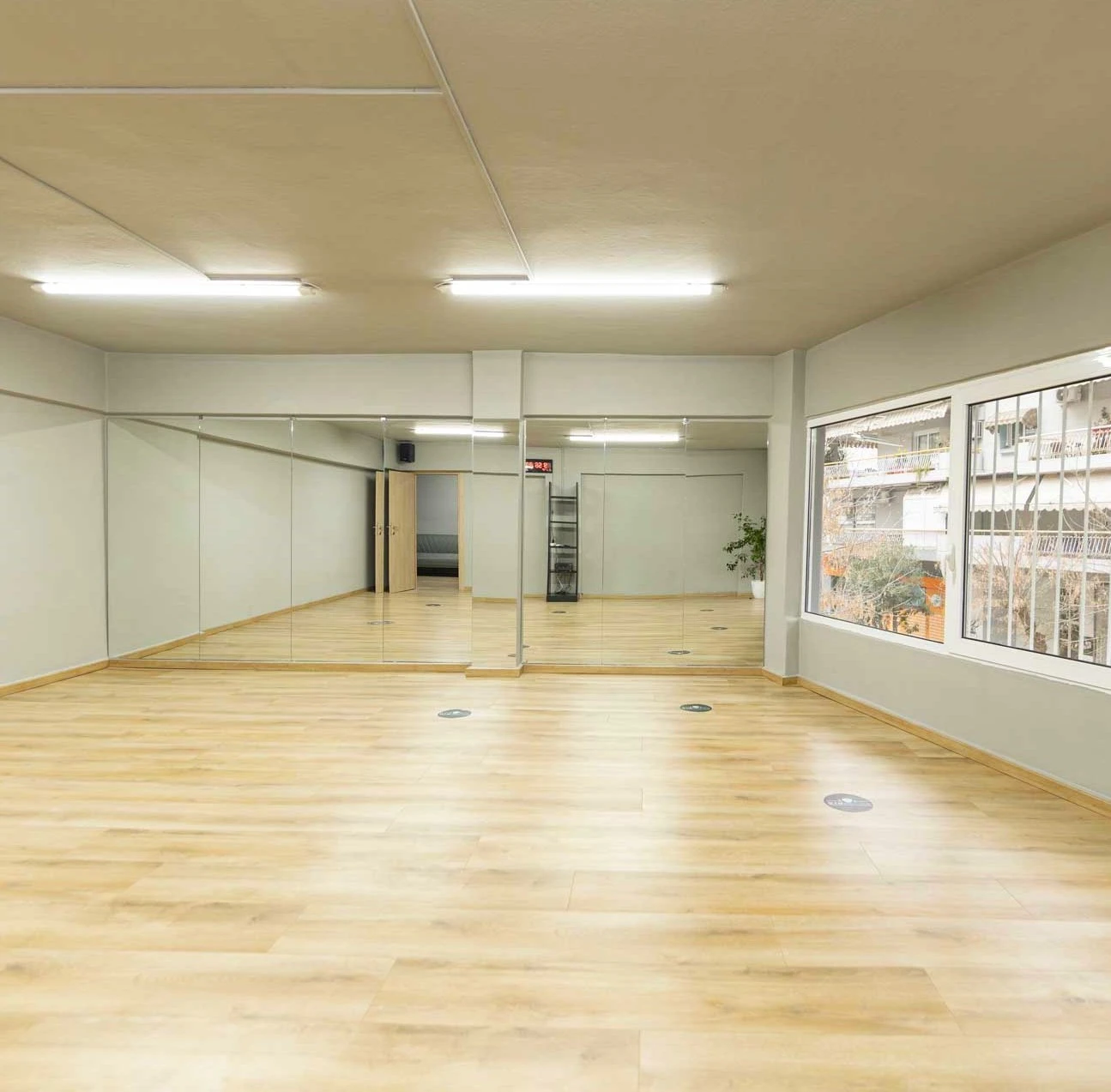 gymholics-11.jpg?v=0