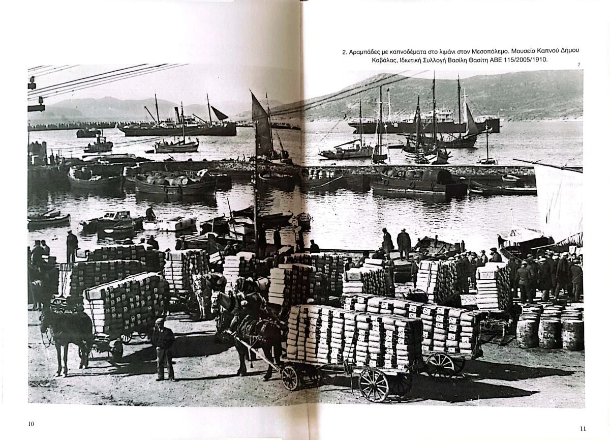 omitostukapnu3.jpg?v=0