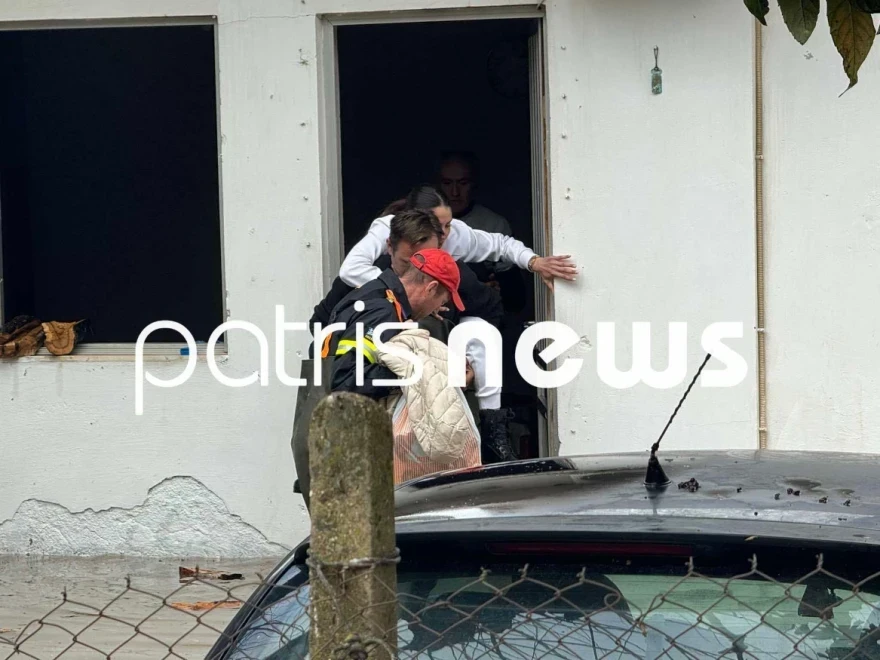 plummires-pyrgos.webp?v=0