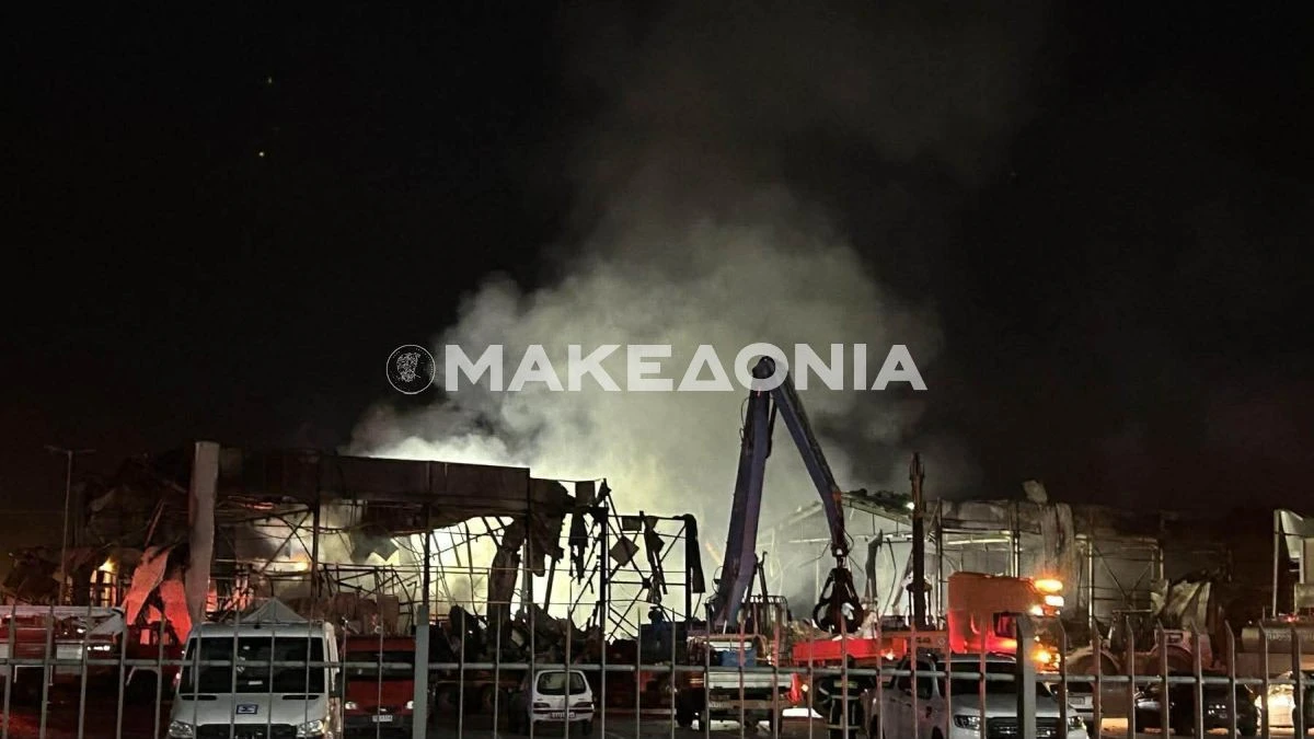 pyrkagia-foria-violanta-ergostasio-trikala-ianouarios-2026003812026.jpg?v=0