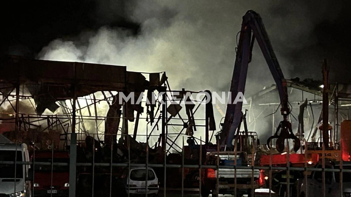 pyrkagia-foria-violanta-ergostasio-trikala-ianouarios-2026004012026.jpg?v=0