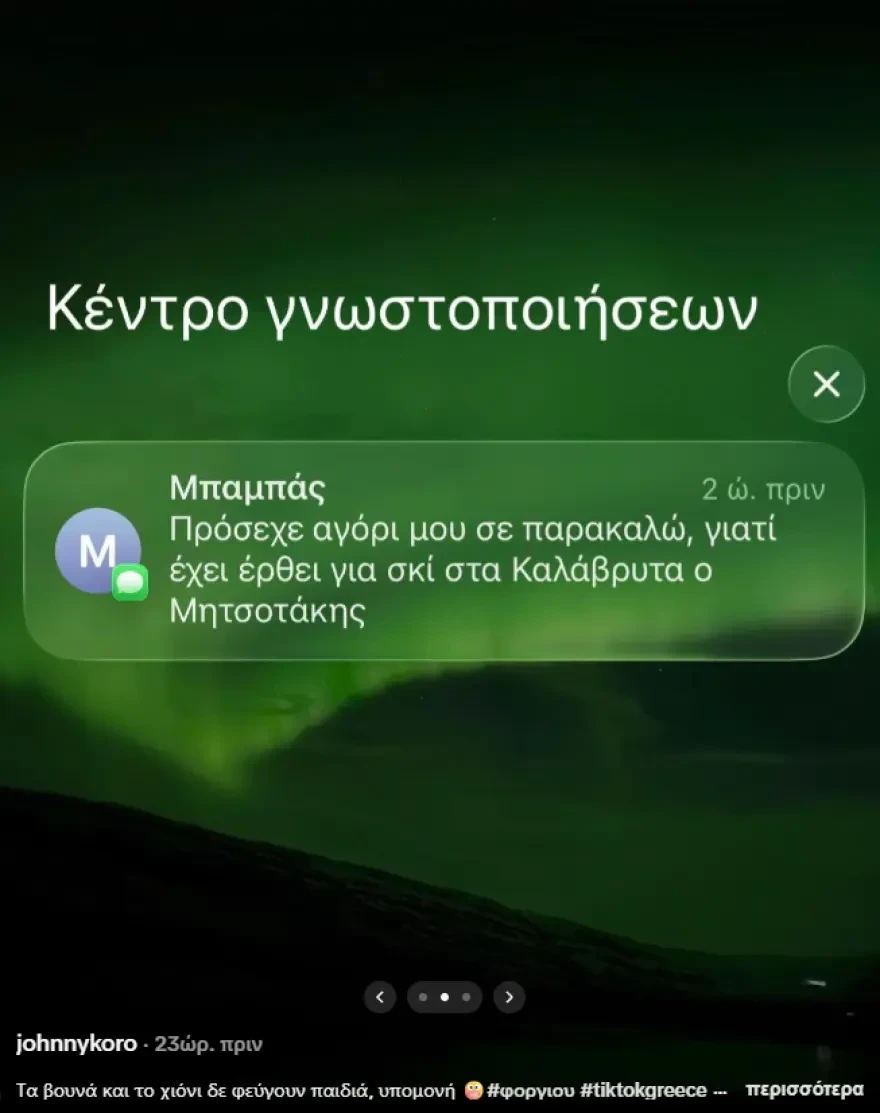 ski-tiktok-mits-3.webp?v=0