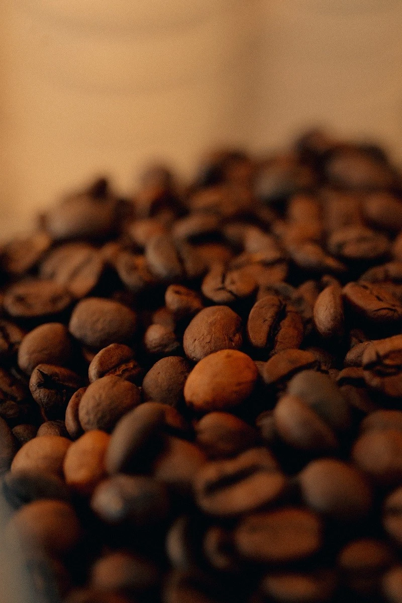 street-box-5.jpg?v=0