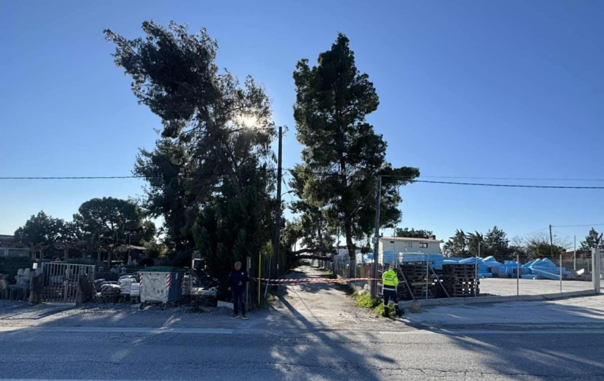 thermi-kakokairia1-122026.jpg?v=0