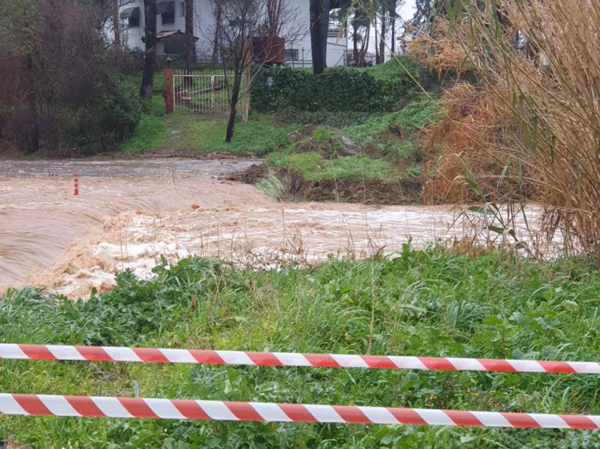 thermi-kakokairia3-122026.jpg?v=0