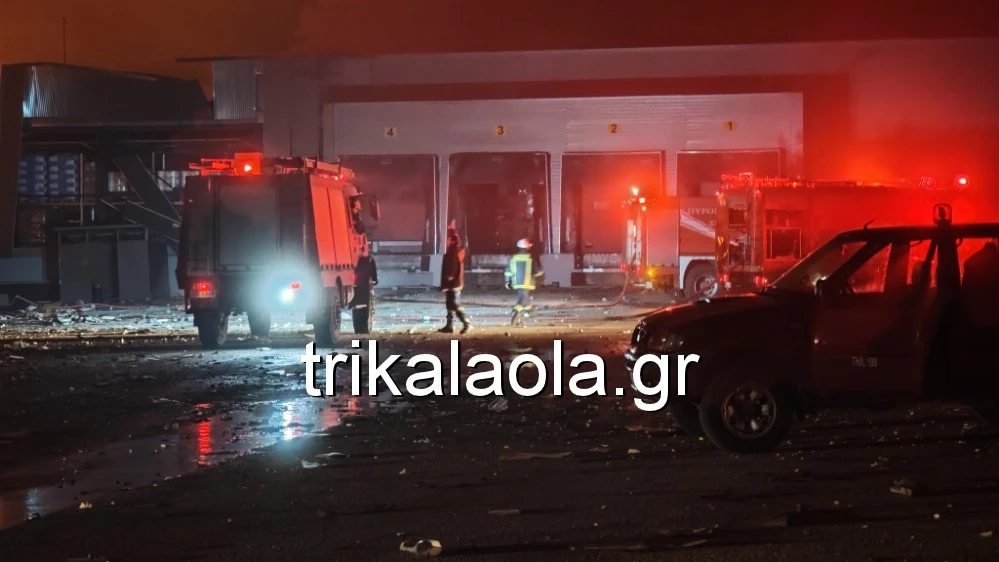 trikala-fotia-violanta-3.jpg?v=0