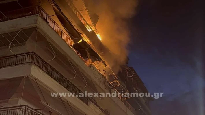 wwwalexandriamougr-fotia-31012657b76e8c-59d6-4785-954f-1dfbd26674bd.jpg?v=0