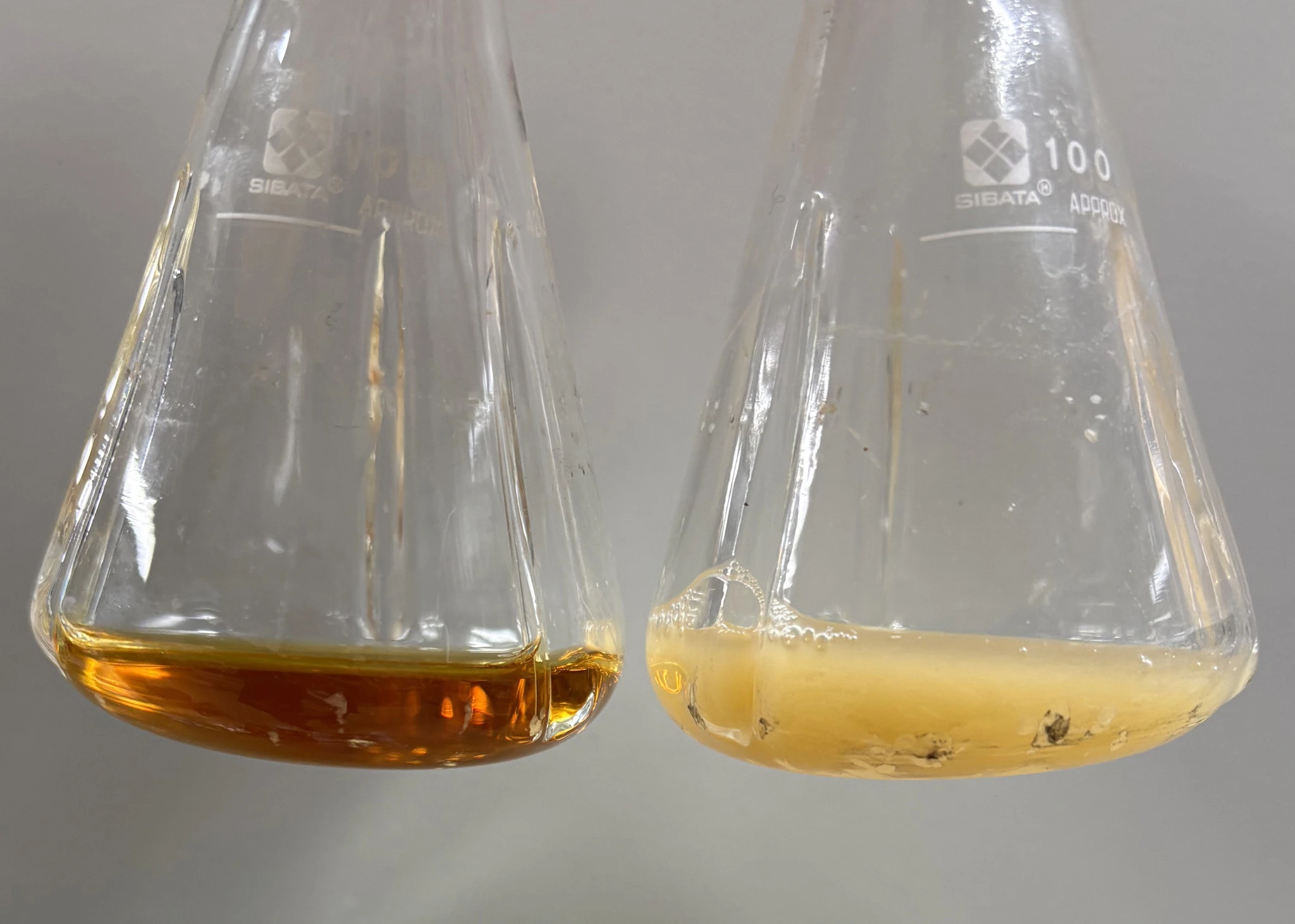 260217-hasunuma-meroterpenoid-cultures.jpg?v=0