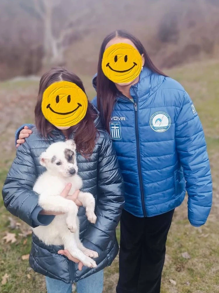 488909225-122122834694695996-3882381546308345318-n.jpg?v=0