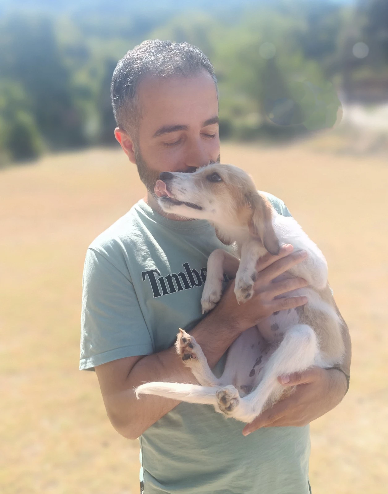 531524733-122142411284695996-6587627127458746726-n.png?v=0