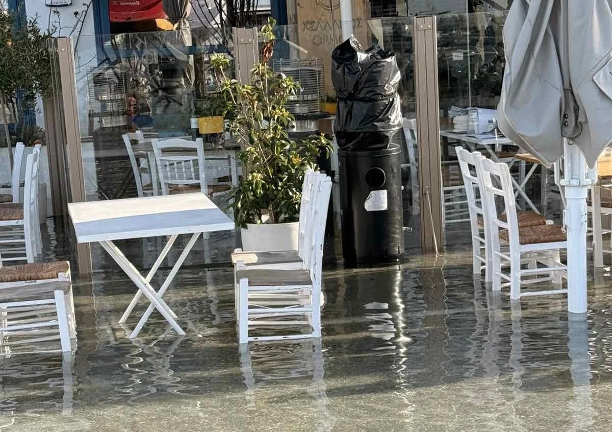 kalamaria-plimmira-1.jpg?v=0