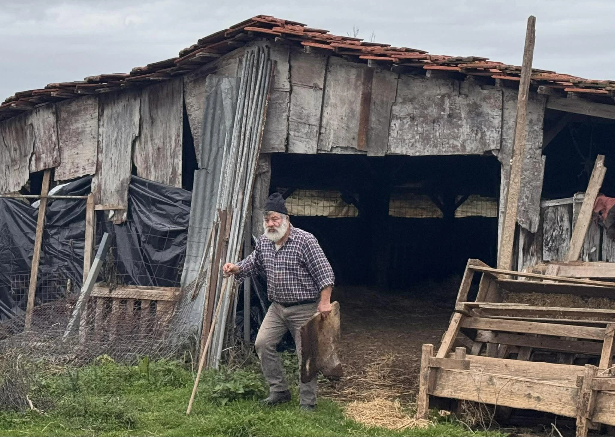 kostas-theofilou-3.jpg?v=0