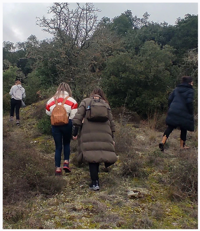 pefka-dasos-enimerosi-8.jpg?v=0