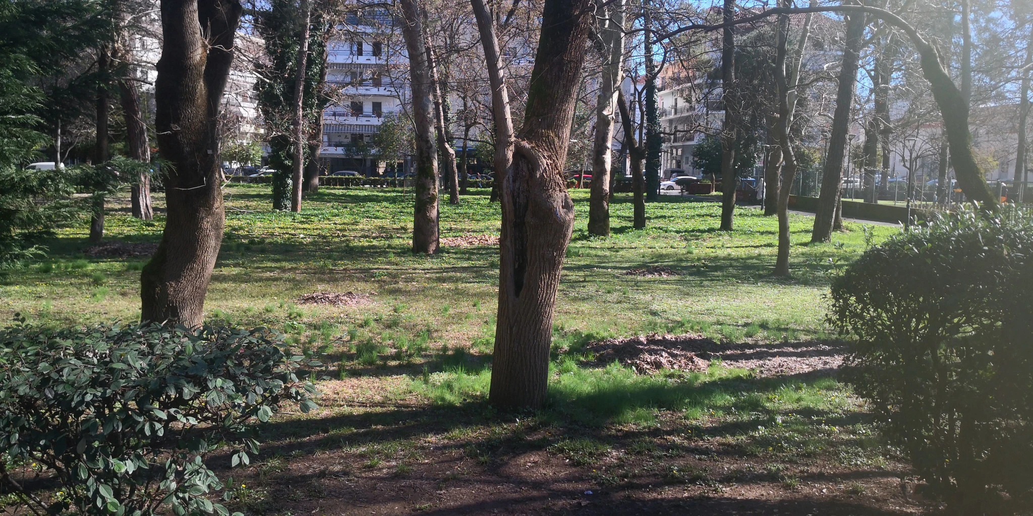 26-2-2026-pafsilipofoto.jpg?v=0