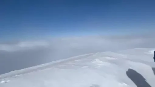 2cb6cbf0-b384-46f1-adaf-0a691e758513.jfif