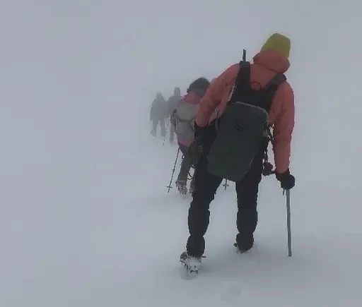 348fdc8b-57b2-49cf-a48e-169377a9f7c8.jfif