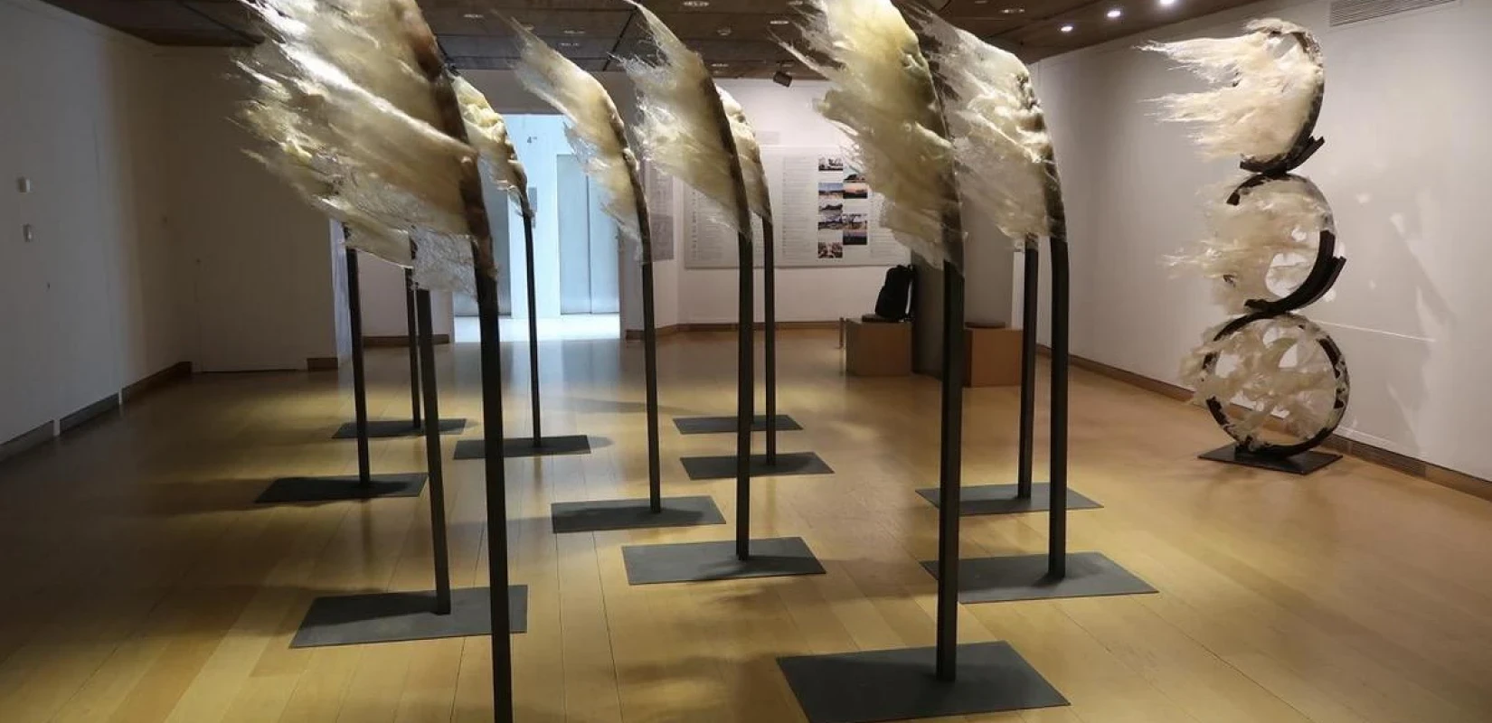 600333316-2927949650748803-6707234599759839701-n.webp?v=0