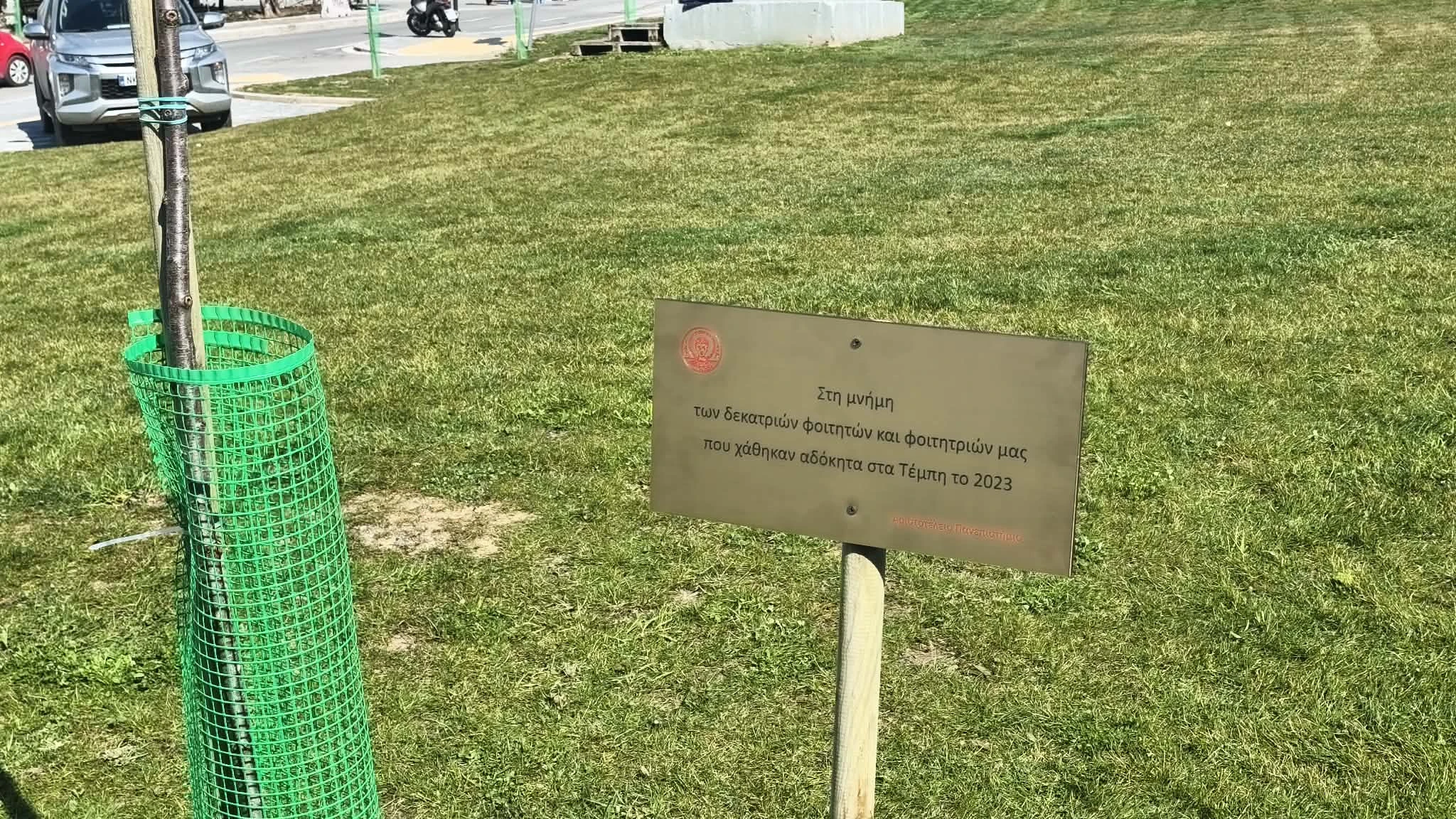 635860932-906339008947894-7792568106284401219-n.jpg?v=0