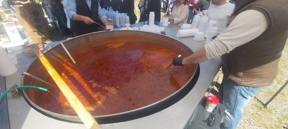 638238484-1218033010519528-1174237972441190315-n.jpg?v=0