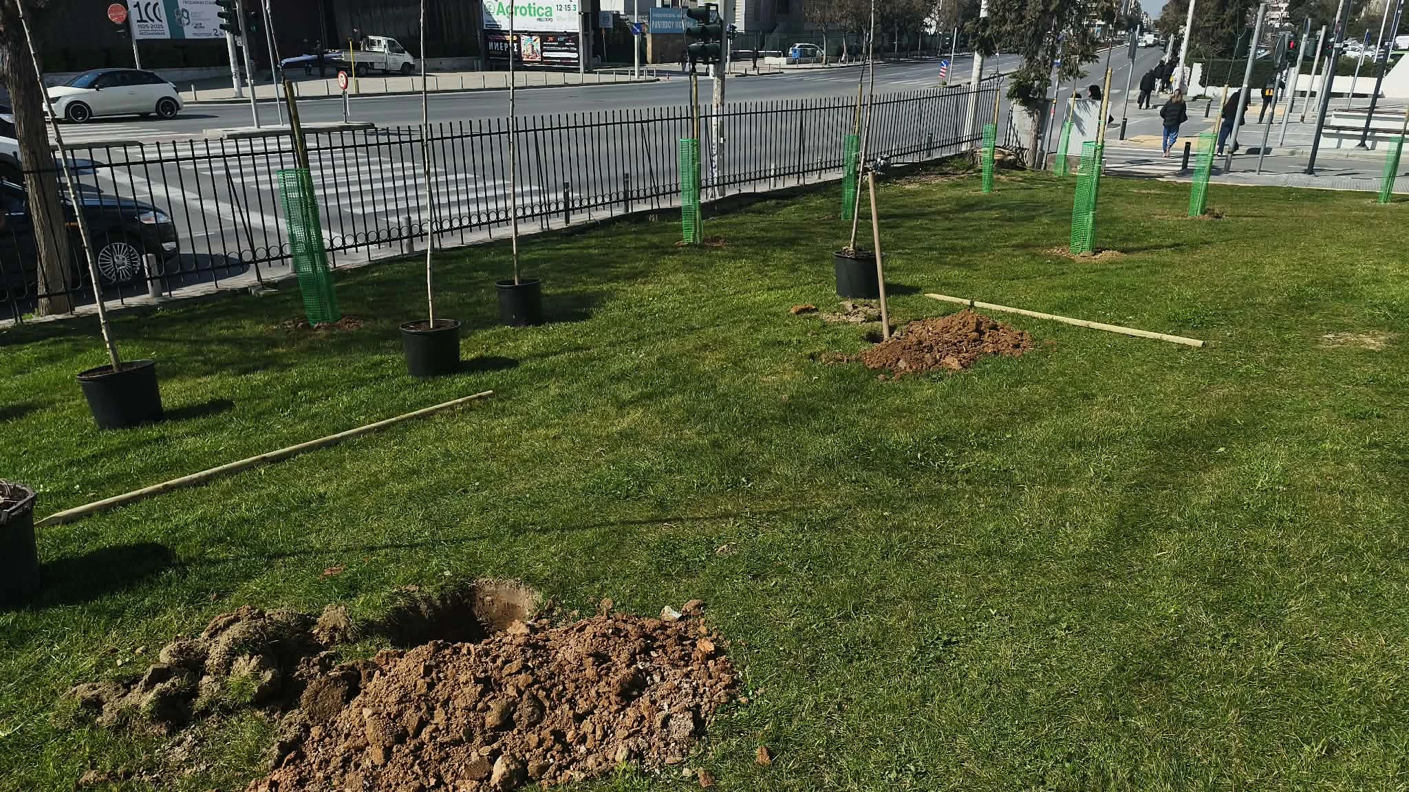 638324920-1447645876952928-7398674022773502758-n.jpg?v=0