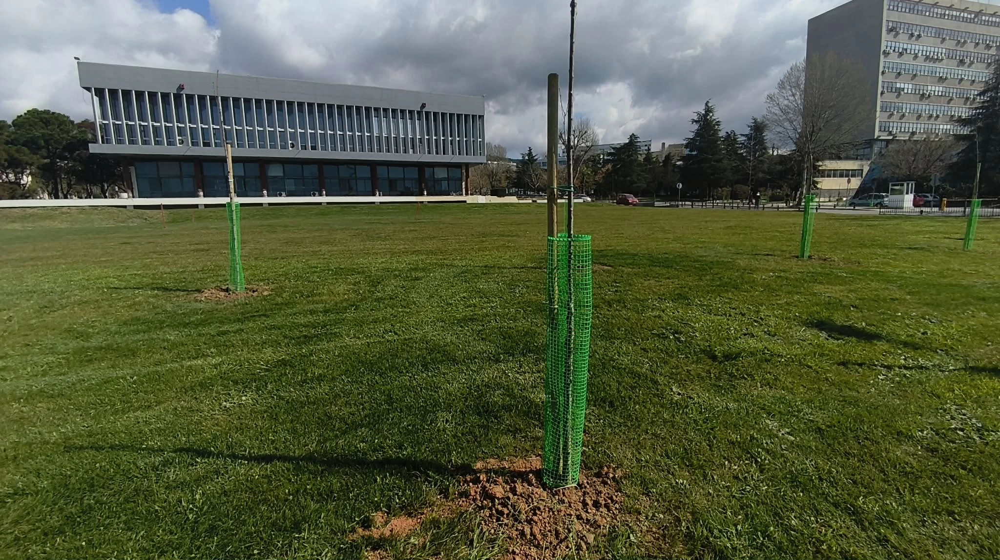 639324754-1643614693452539-6756043790066580068-n.jpg?v=0