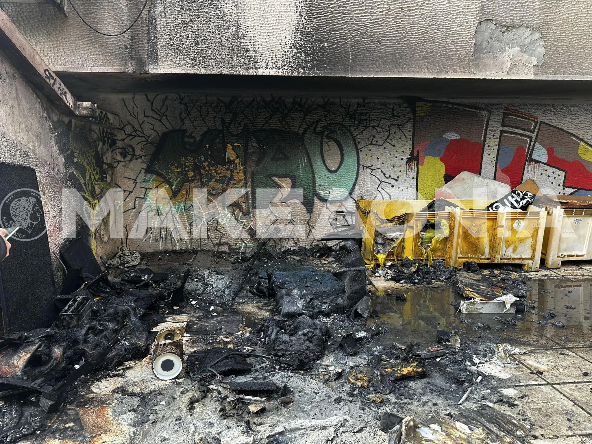 639553489-949227814098810-2401802313697239305-n.jpg?v=0