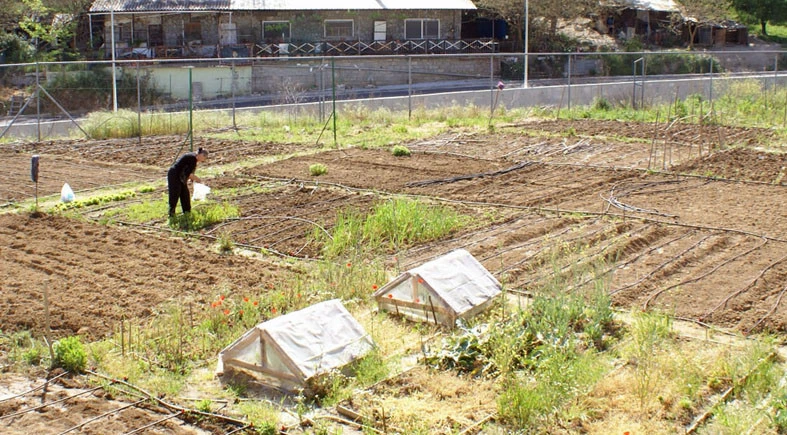 cover-laxanokipoi.jpg?v=0