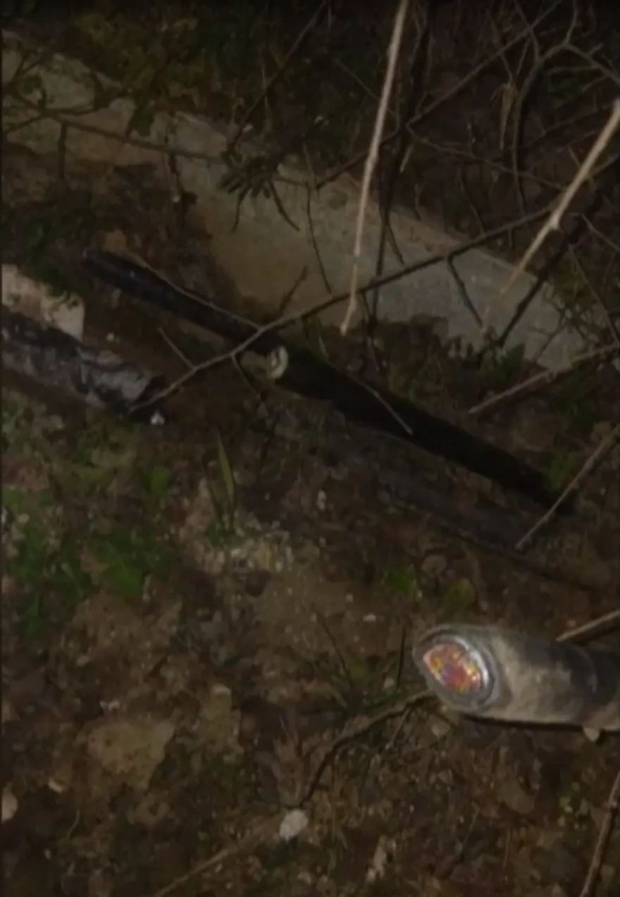 doliofthora-ose-1.webp?v=0