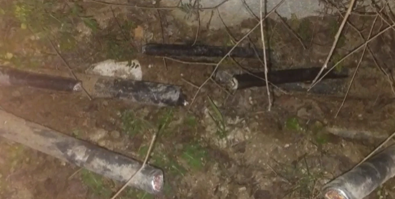 doliofthora-ose-2.png?v=0