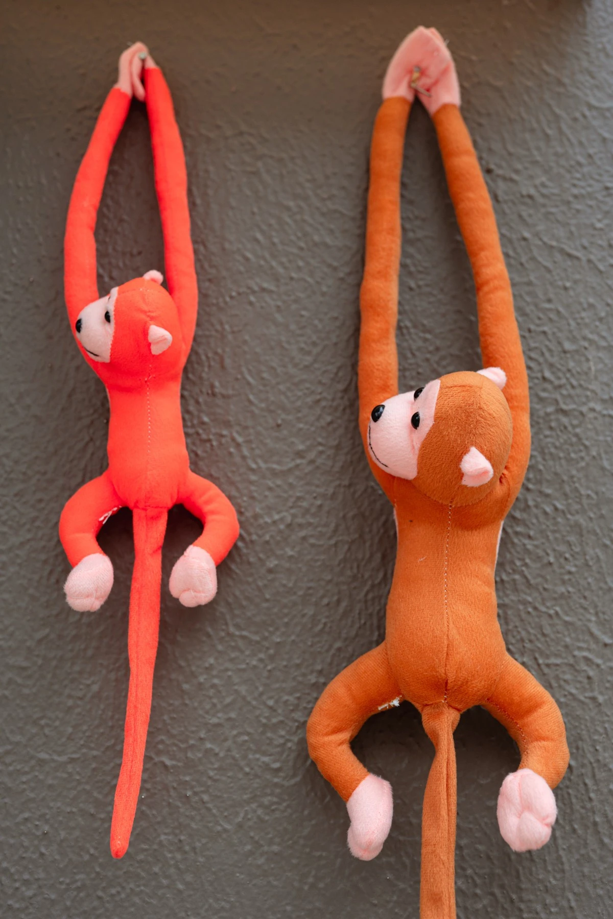 maimou-eatery-22.jpg?v=0