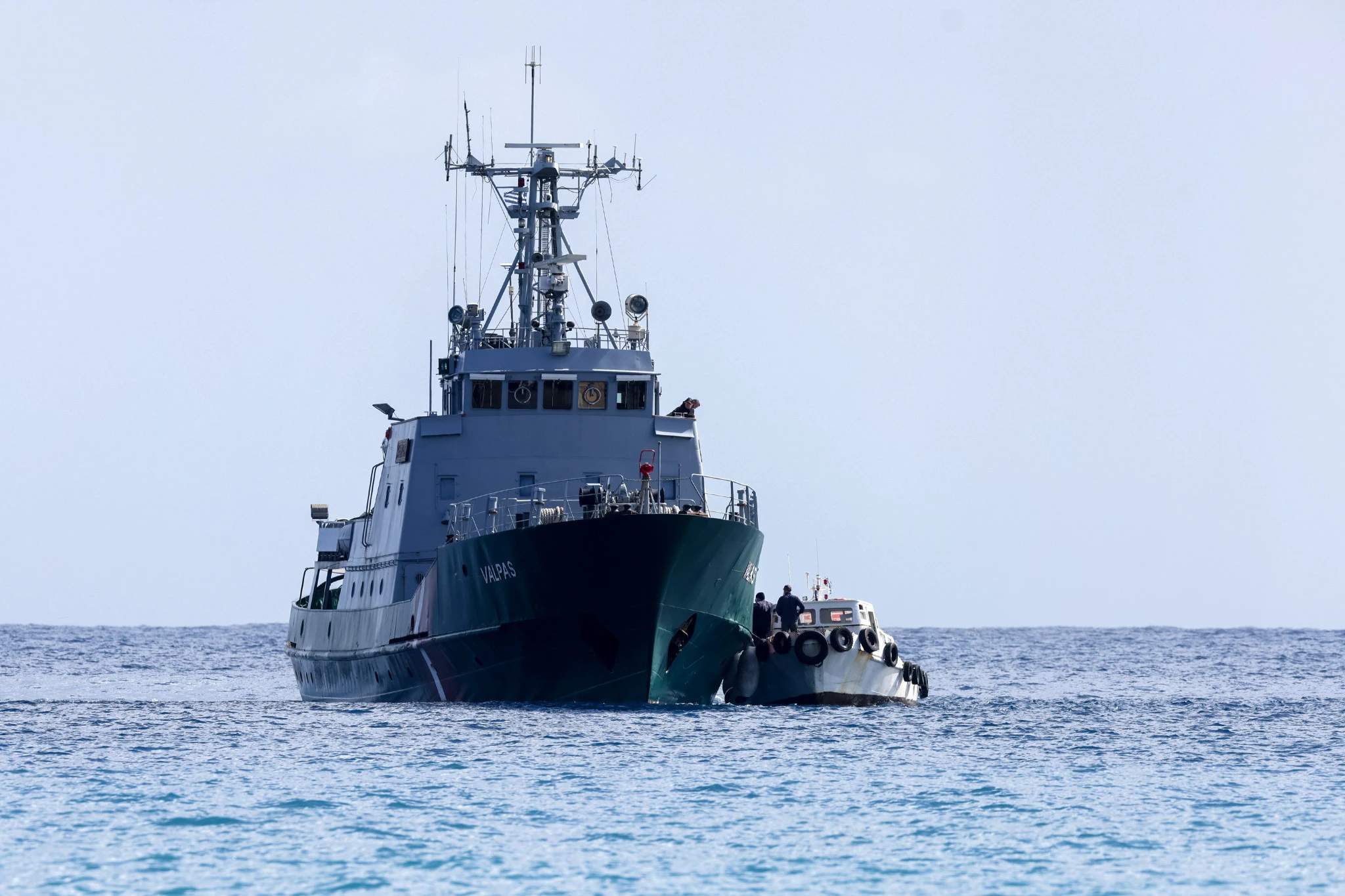 metanastes-2.jpg?v=0