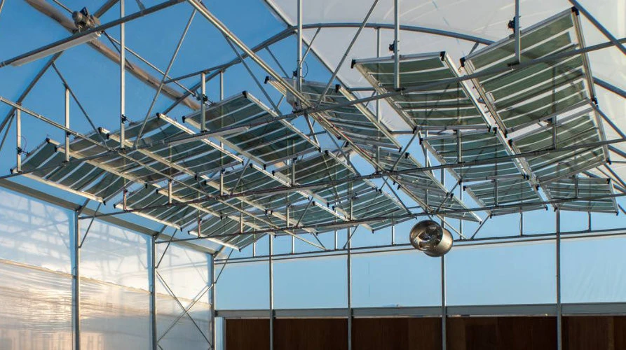 oet-inst-agripvs-02.jpg?v=0