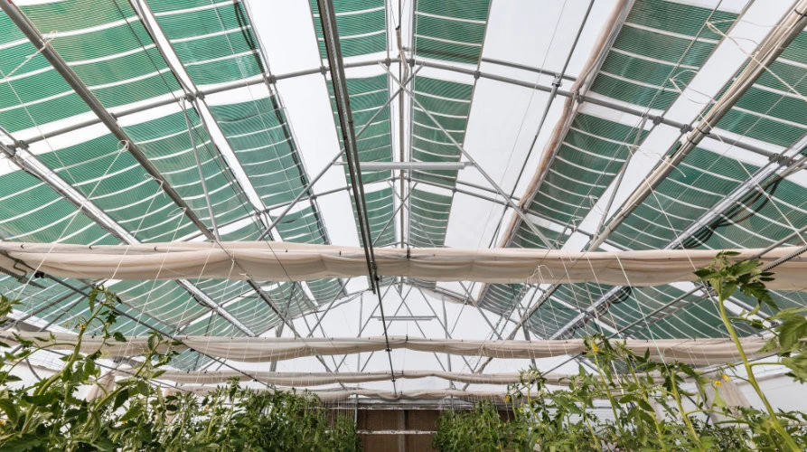 oet-inst-agripvs-03.jpg?v=0