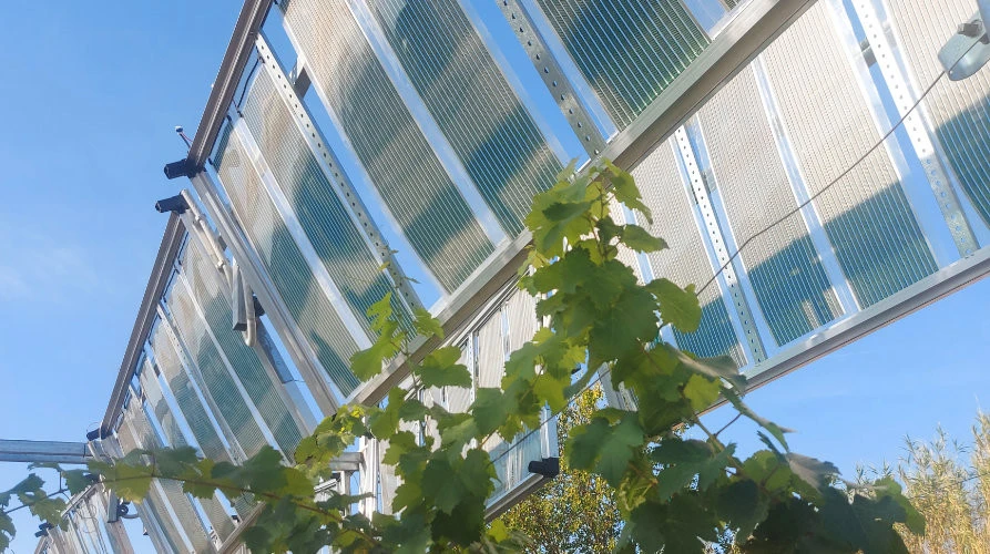 oet-inst-agripvs-05.jpg?v=0