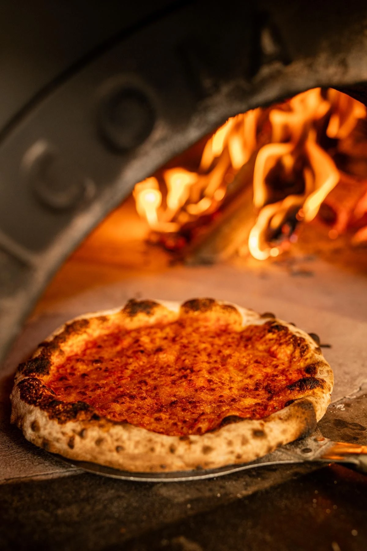 pizza-alenia-5.jpg?v=0