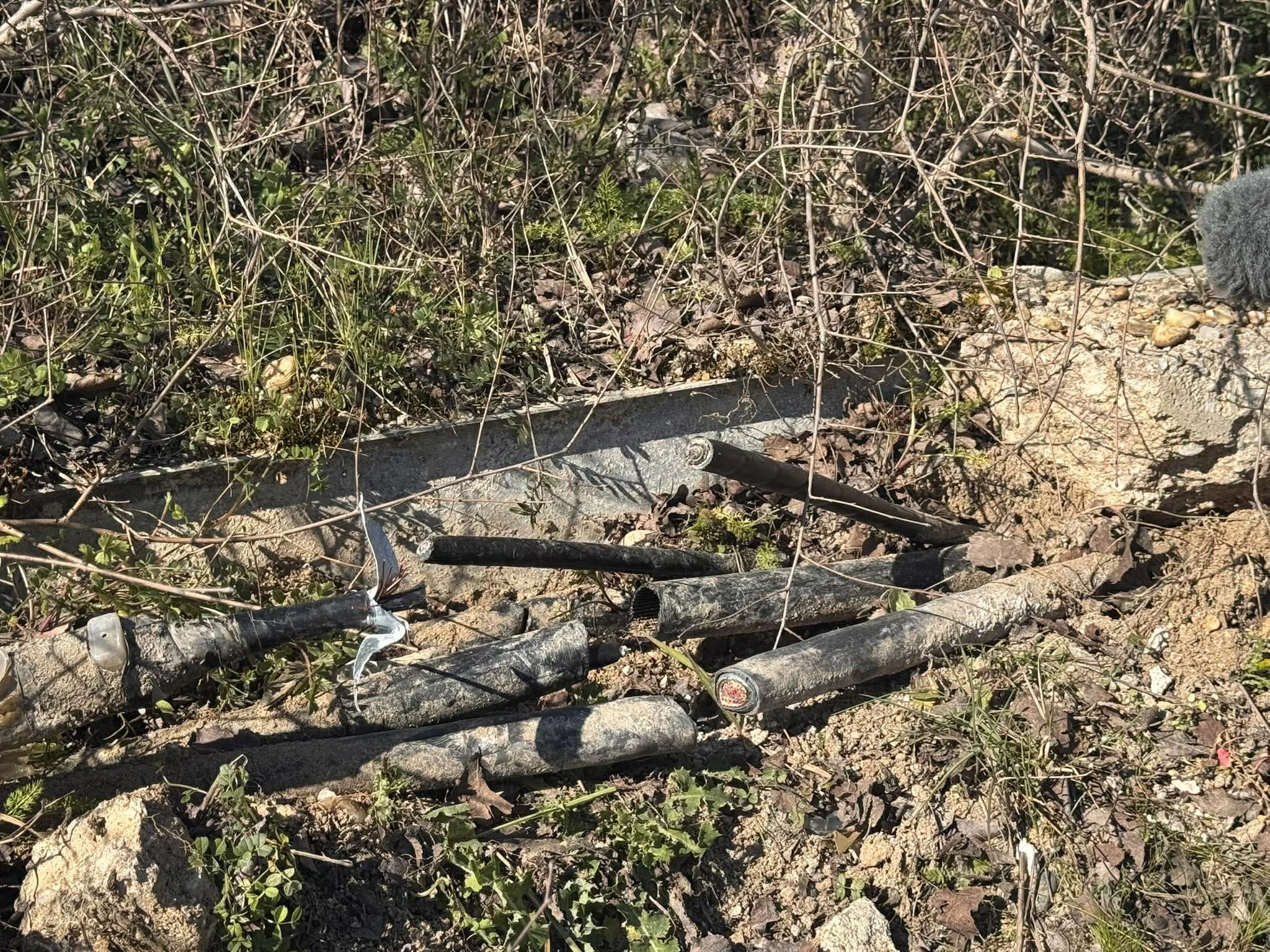 treno-doliothora-plati-3.jpg?v=0