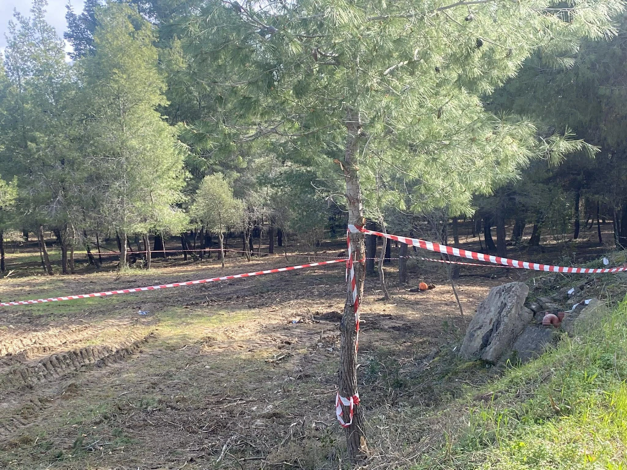 xalkidiki-soros-sakoyles.jpg?v=0