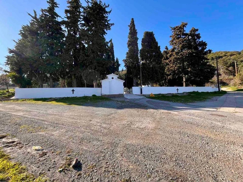 650803602-1228764412753448-2085721053194367154-n.jpg?v=0