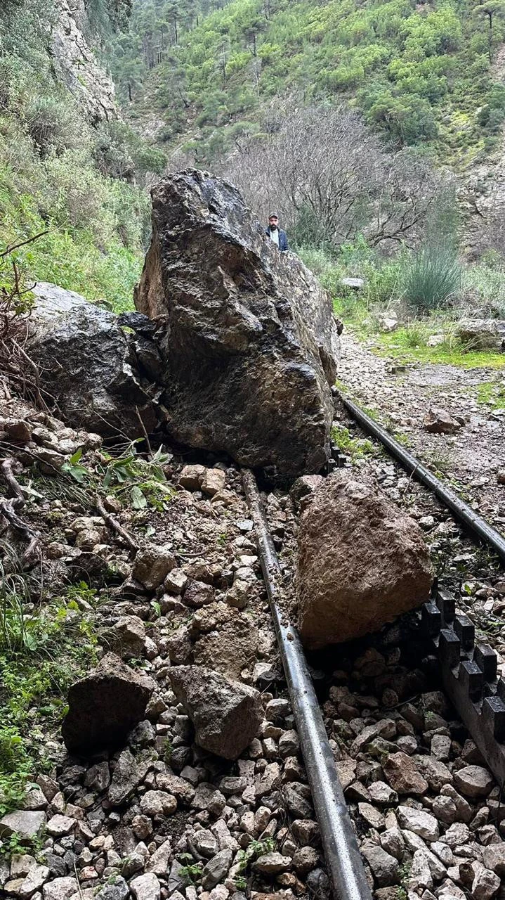 7ea3e455-ada8-49e6-81fc-8cd29fa29d12.jpeg?v=0