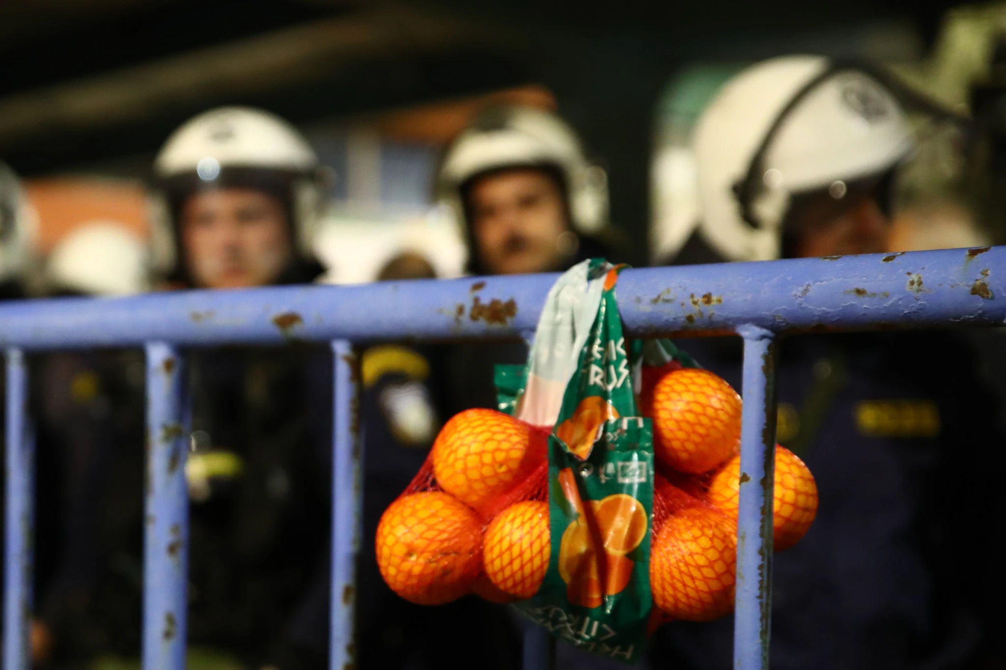 agrotes-deth-portokalia-3.jpg?v=0