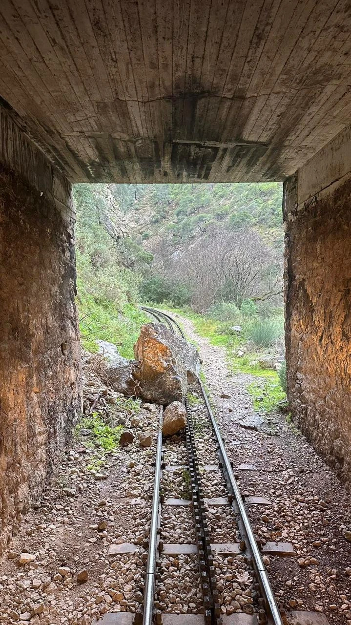 bf5caf81-5999-4142-867d-7edacbbe6feb.jpeg?v=0