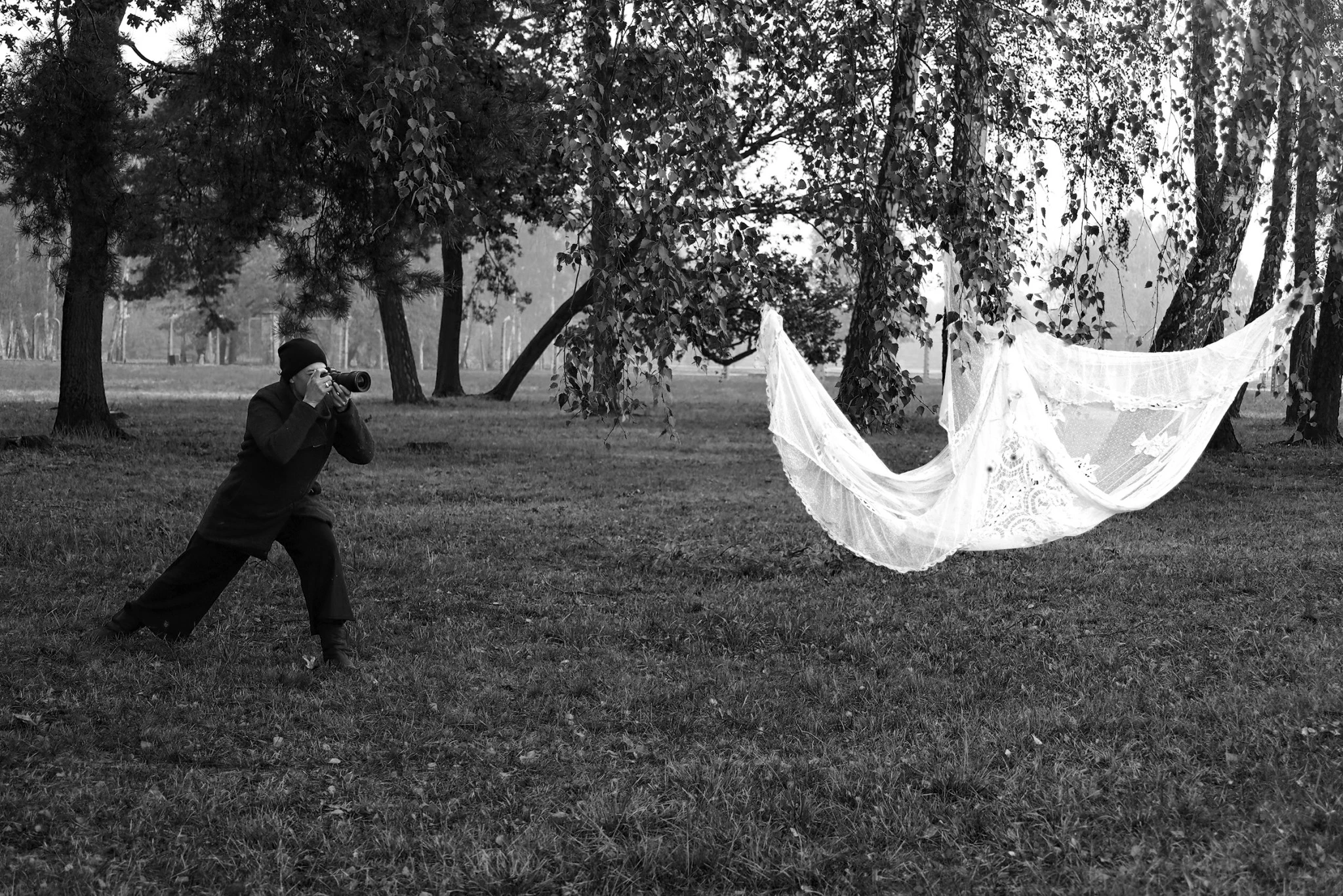 birkenau-heirloom.jpg?v=0