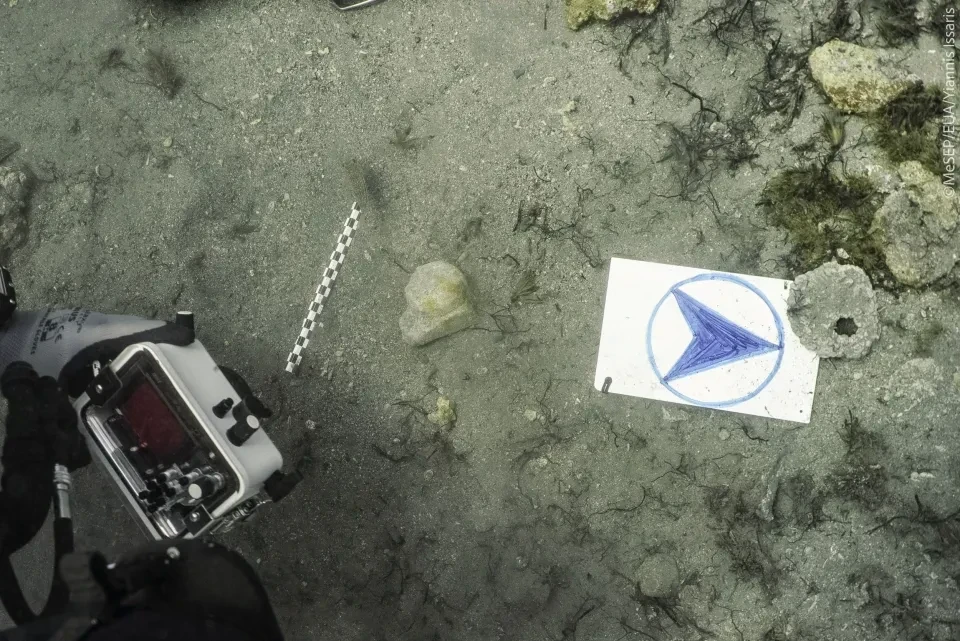 eik-12-h-marmarinh-diakosmhtikh-stagona-kata-xwran-kai-h-anelkysh-ths-apo-omada-dytwn-fwt-g-issarhs.webp?v=0