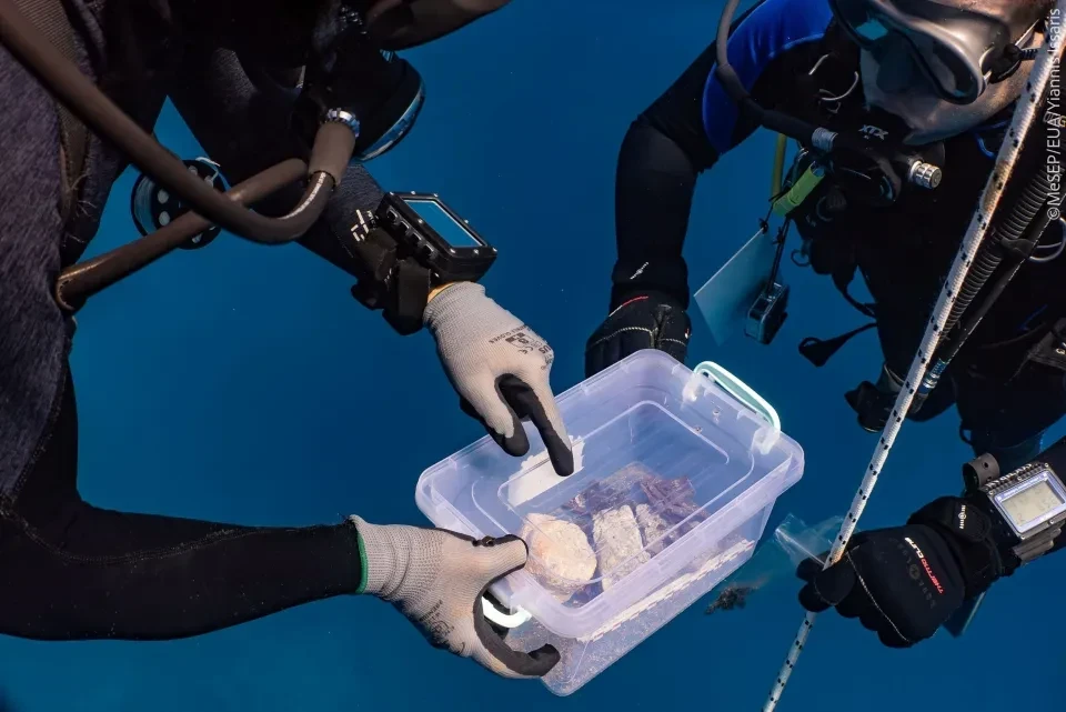 eik-13-h-marmarinh-diakosmhtikh-stagona-kata-xwran-kai-h-anelkysh-ths-apo-omada-dytwn-fwt-g-issarhs.webp?v=0