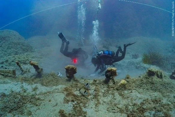 eik-6-anaskafh-ths-tomhs-2-2025-fwt-g-issarhs.webp?v=0