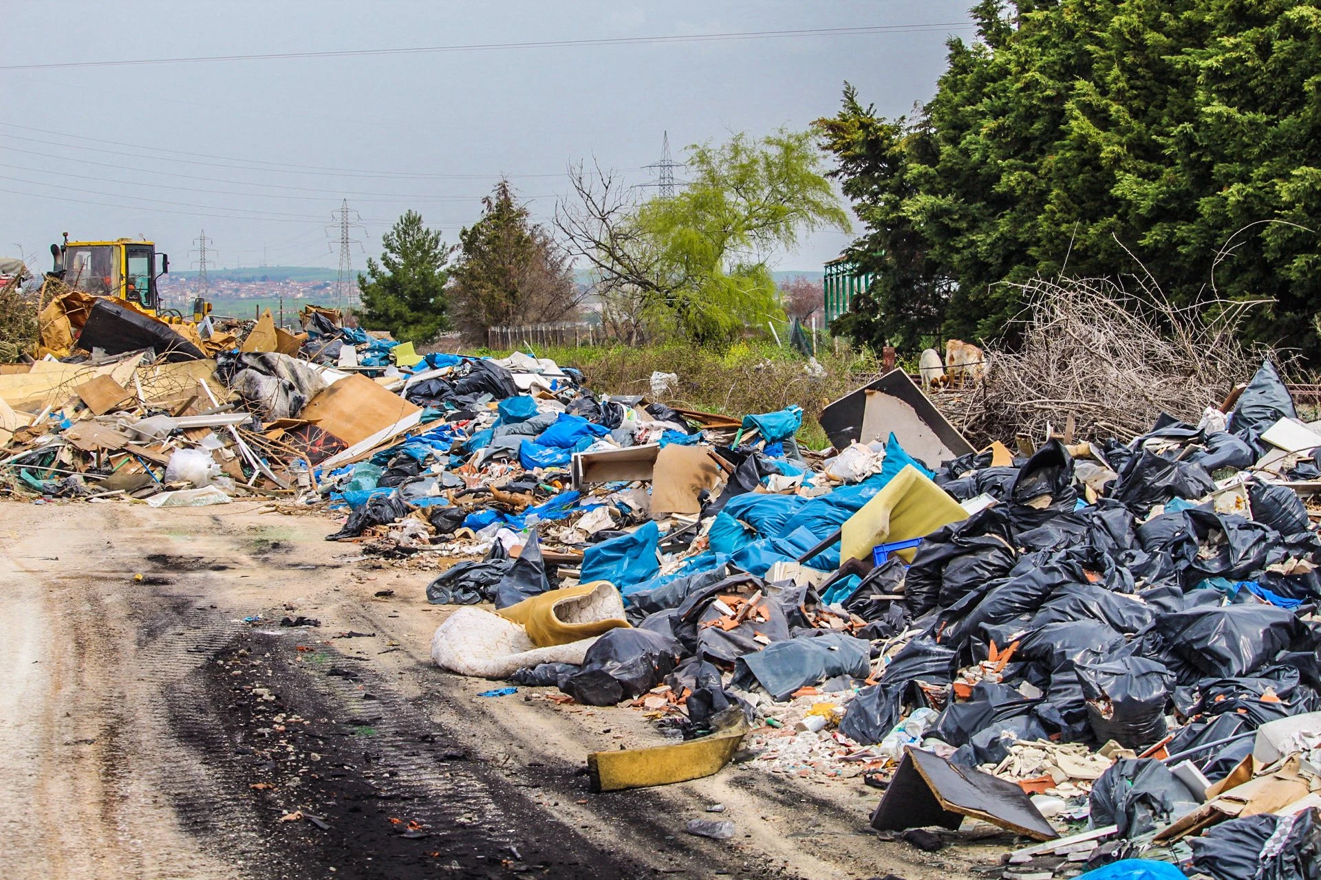 skoupidia-ogkodi-1.jpg?v=0