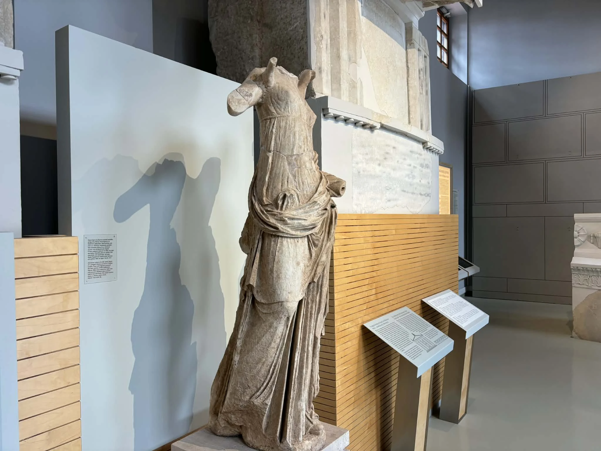 0238b478-d50e-4faf-9ab2-b8e1eb09284a.jfif