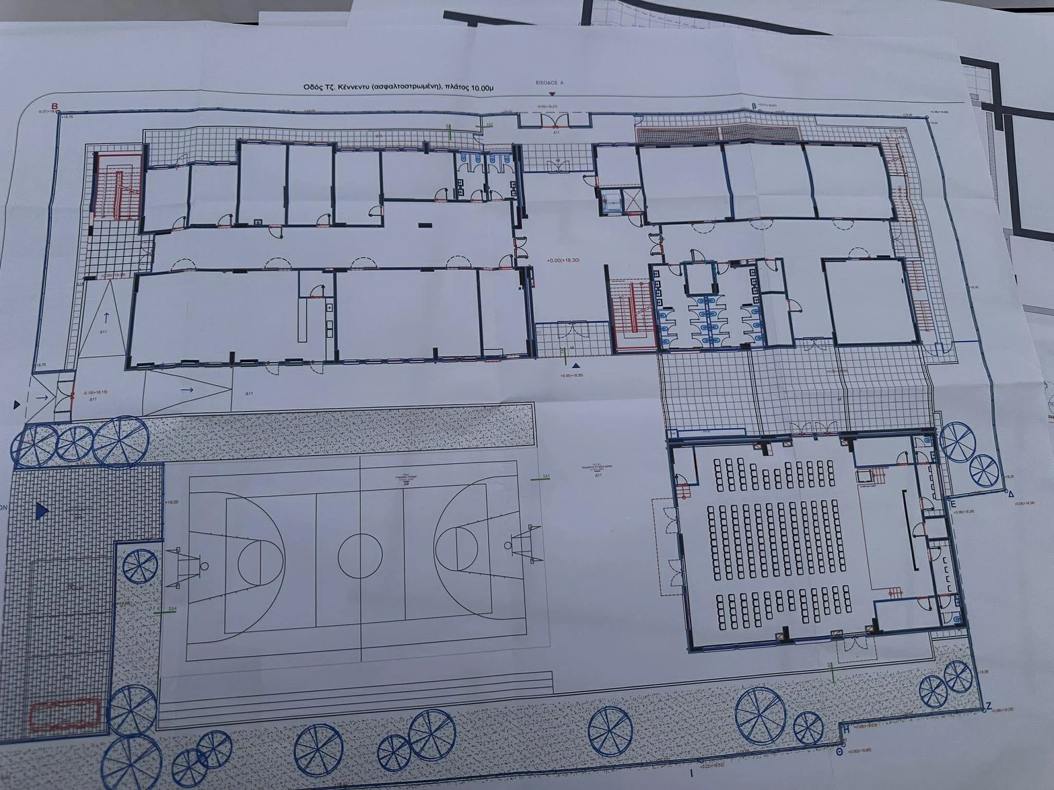 652605566-1448224910367295-6423972206075105730-n.jpg?v=0